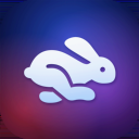 Space Rabbit